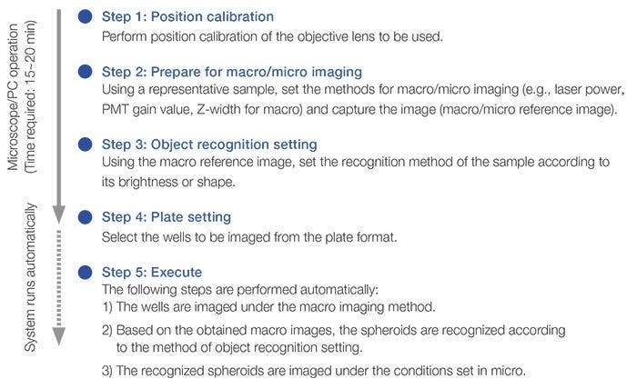 Macro-to-Micro Imaging Steps