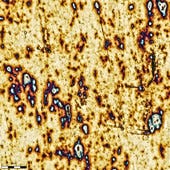 Fig5a-visualizing-corrosion-process-of-sterling-silver-1V-001-min-EFI