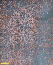 2B Fingerprint Copper wiped with nylon