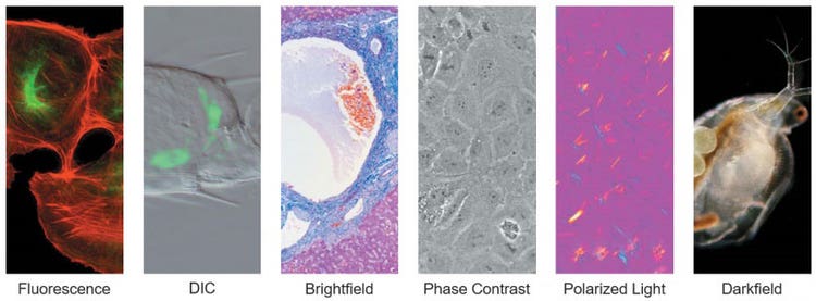 Different observation methods