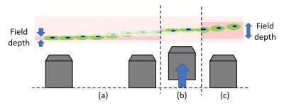 inverted vs upright microscope