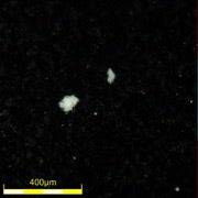 Clearcoat contamination under polarized light—277x, DSX510 microscope.