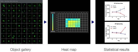 High-Throughput 3D Image Analysis