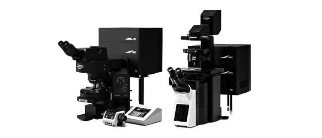 Laser Scanning Microscopes